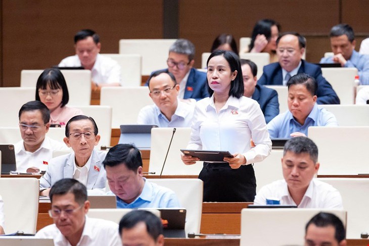 ĐBQH: Cần giảm giá nhà ở xã hội sát thu nhập người lao động- Ảnh 3.