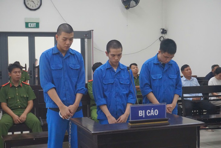 Trả hồ sơ vụ 3 bị cáo đánh chết nam shipper ở Đà Nẵng - Ảnh 1.