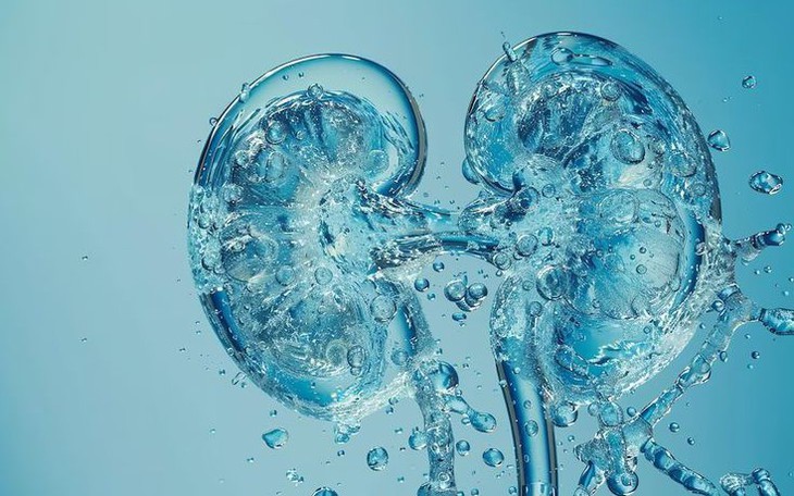 Huyết áp cao âm thầm tàn phá chức năng thận như thế nào?  - Ảnh 2.