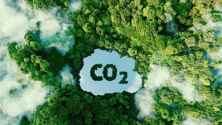 Tăng trưởng xanh, doanh nghiệp buộc cắt giảm khí thải hoặc phải mua tín chỉ carbon- Ảnh 1.