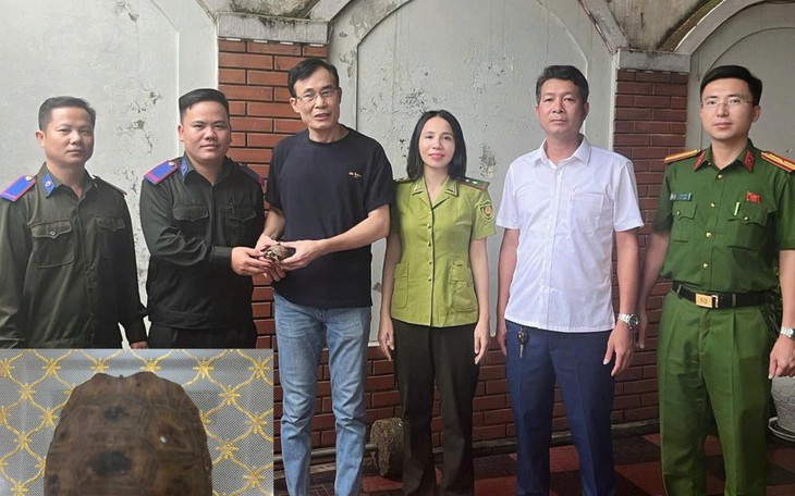 Người dân tự nguyện giao nộp cá thể diều núi quý hiếm- Ảnh 3.