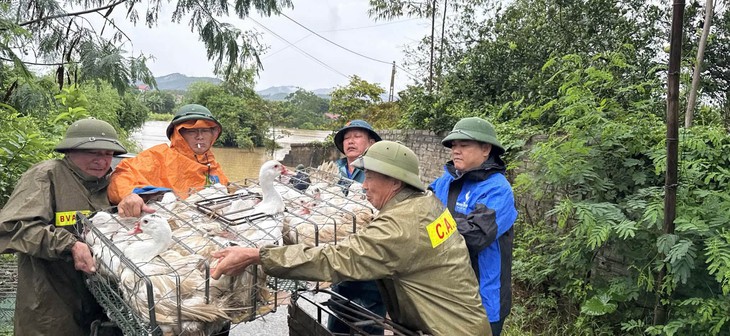 Thiệt hại do mưa lũ ở các địa phương tiếp tục tăng- Ảnh 1.