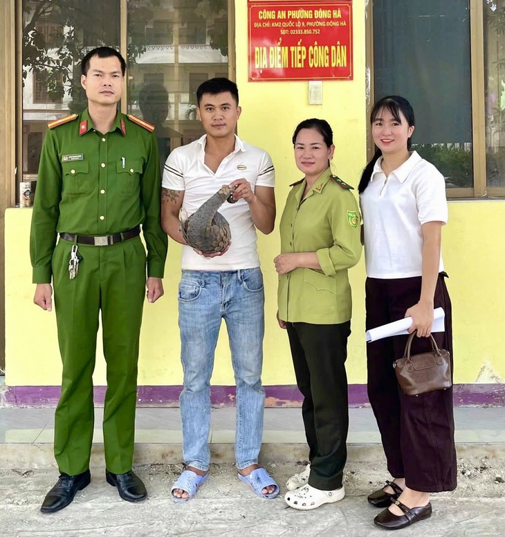 Tê tê quý hiếm 'đi lạc' giữa phố- Ảnh 1.