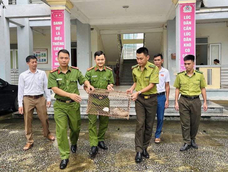 Đưa các loài động vật nguy cấp, quý hiếm trở về rừng sâu- Ảnh 2.