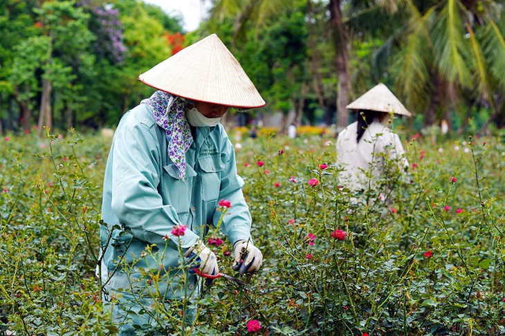 Công viên Thống Nhất chuẩn bị gì trước đại lễ 2/9- Ảnh 3.