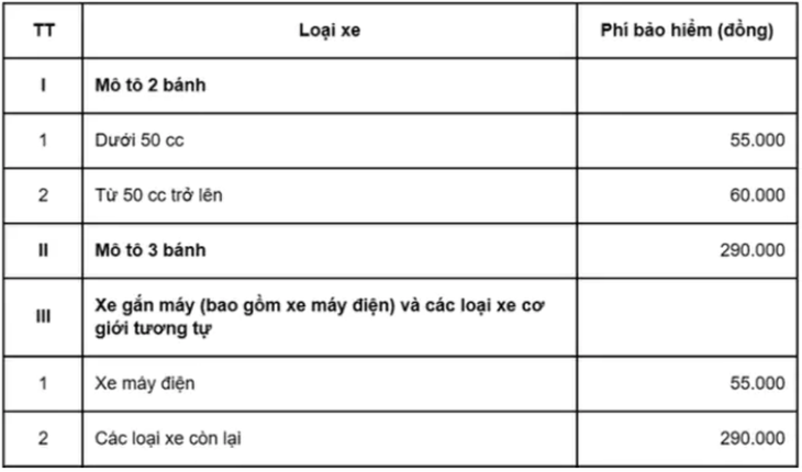 Đi xe máy điện có bắt buộc phải mua bảo hiểm xe máy? - Ảnh 2.