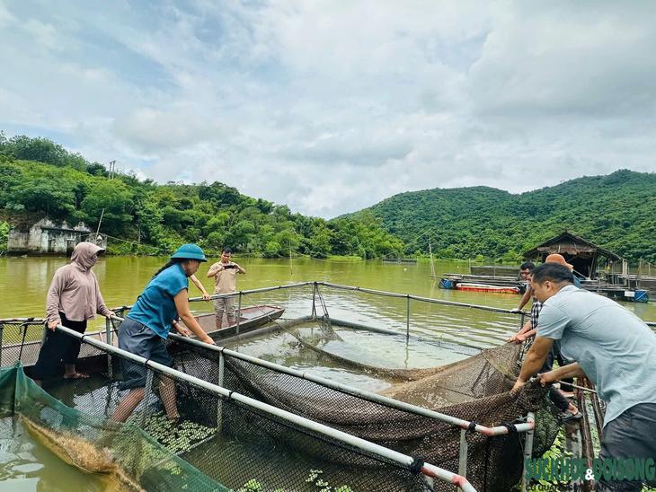 Cá trên sông Lam tiếp tục chết, thiệt hại hơn 2,7 tấn sau gần 2 tháng- Ảnh 1.