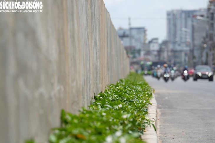 Vành đai 1 tháo dỡ rào chắn trước ngày thông xe kỹ thuật 2/9- Ảnh 10.