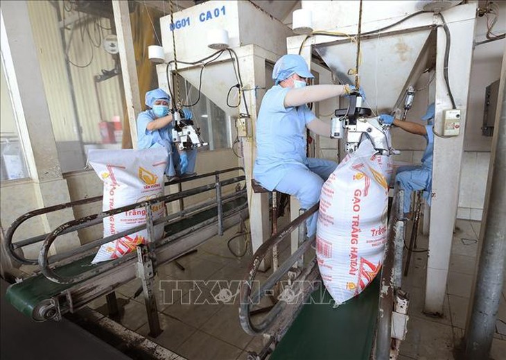 Xuất khẩu gạo đạt 2,91 tỷ USD, giá bắt đầu phục hồi- Ảnh 1.