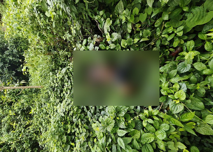Bí ẩn thi thể người bán vé số phân huỷ ở bụi cỏ ven đường biên giới- Ảnh 1.