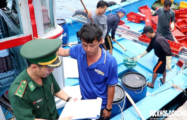 Khánh Hòa siết chặt chống khai thác IUU, quyết tâm gỡ 'thẻ vàng' EC - Ảnh 2.