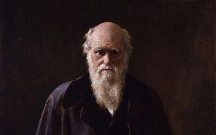 Charles Darwin và dự đoán về cây ăn thịt được xác minh sau 150 năm - Ảnh 1.