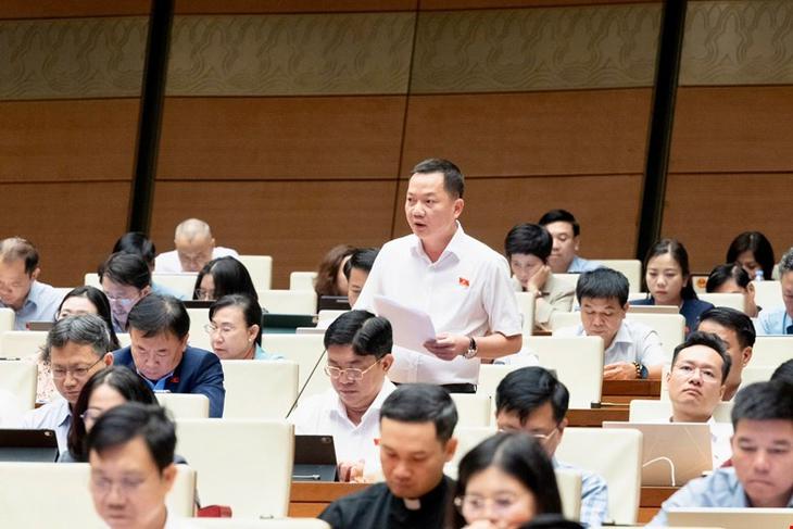 ĐBQH: Cần đưa kinh doanh kim cương vào ngành, nghề đầu tư kinh doanh có điều kiện- Ảnh 1.