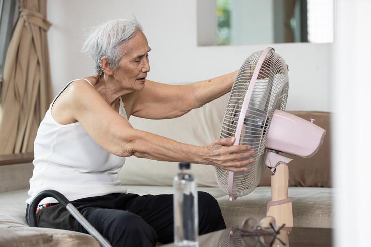 Lầm cúm với cảm vặt, người cao tuổi có thể gặp biến chứng thậm chí tử vong - Ảnh 2.