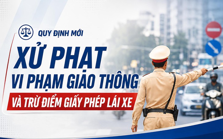 Danh tính chủ xe 96 lần vi phạm giao thông, nhận mức phạt gần nửa tỷ đồng- Ảnh 1.