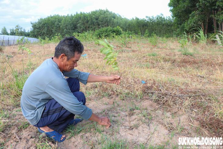 Nhiều người dân phản ánh nguồn nước hồ Sông Biêu có màu xám đục, ảnh hưởng cây trồng, vật nuôi- Ảnh 4.