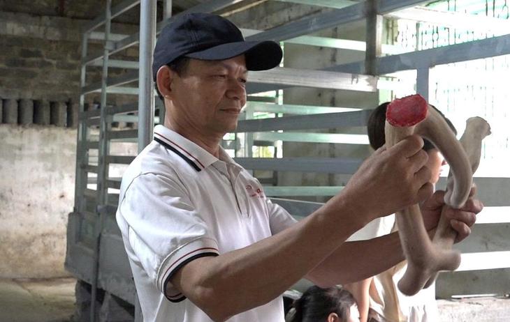 Chàng kỹ sư đam mê thuần hóa loài động vật hoang dã có nhung- Ảnh 5.