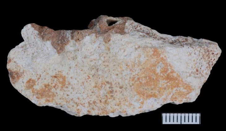 Hóa thạch Denisovan hé lộ cuộc sống bí ẩn của họ hàng loài người - Ảnh 1.