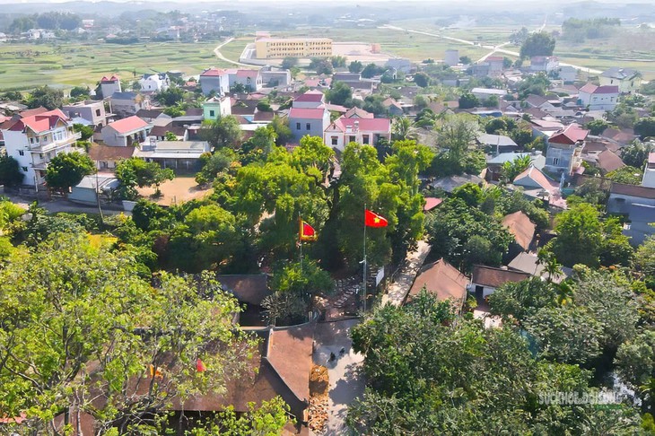 Ngắm 'thần mộc' dã hương nghìn năm tuổi giữa làng quê Bắc Ninh - Ảnh 1.