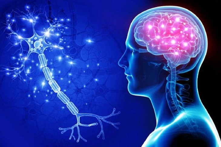 4 yếu tố nguy cơ gây bệnh Alzheimer- Ảnh 1.
