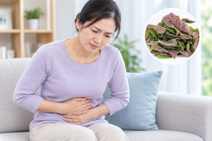 Ăn lá mơ lông thường xuyên có tốt không? - Ảnh 1.