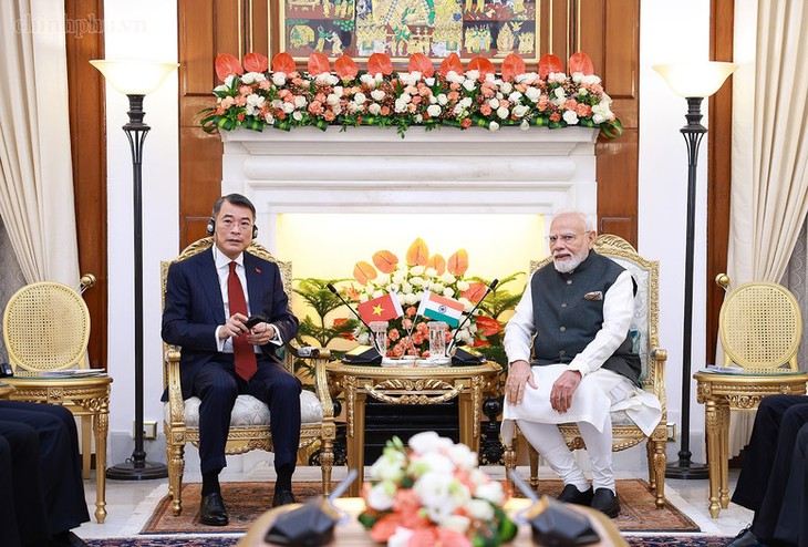 Thủ tướng Lê Minh Hưng hội đàm với Thủ tướng Ấn Độ Narendra Modi- Ảnh 2.