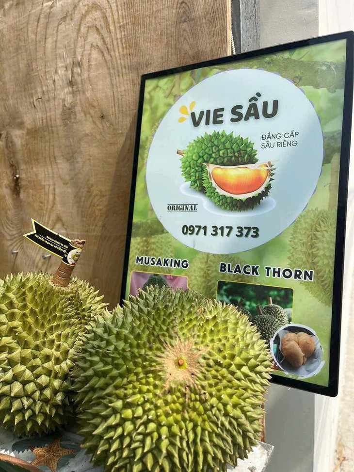 Sầu Black Thorn và Musang King có gì đặc biệt mà cả hai đều có giá 'siêu' đắt trên thị trường?- Ảnh 2.