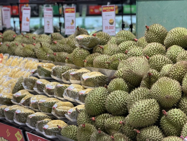 Sầu Black Thorn và Musang King có gì đặc biệt mà cả hai đều có giá 'siêu' đắt trên thị trường?- Ảnh 1.