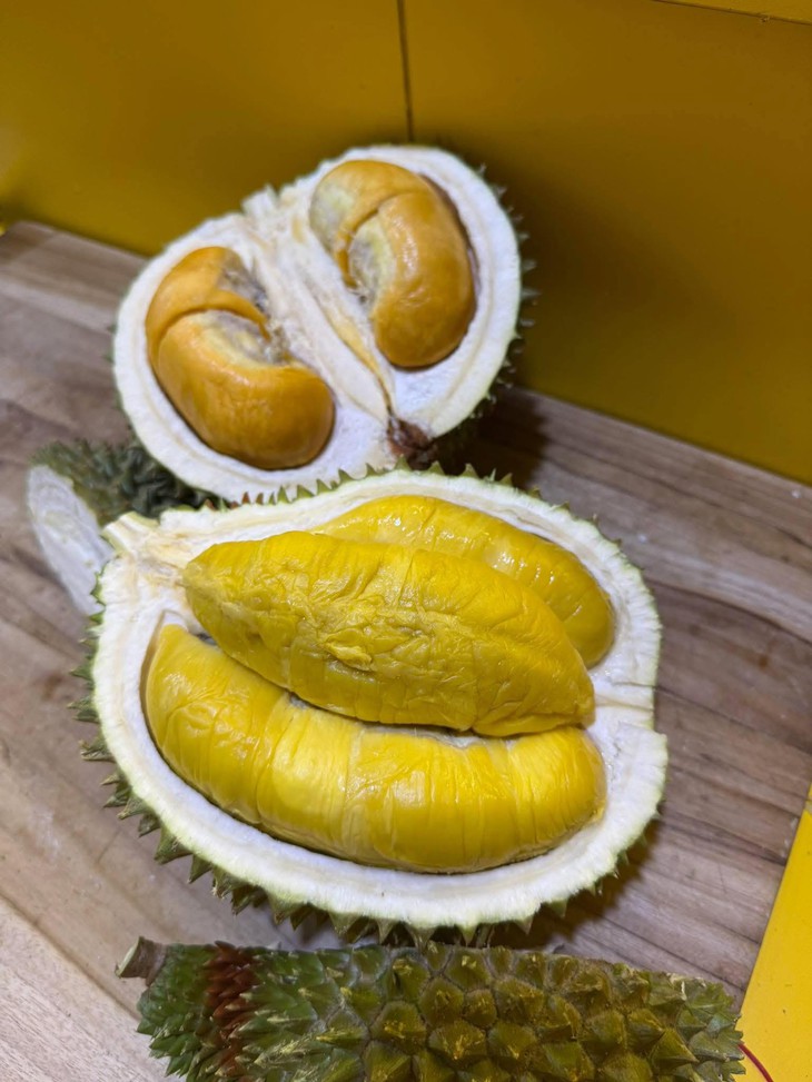 Sầu Black Thorn và Musang King có gì đặc biệt mà cả hai đều có giá 'siêu' đắt trên thị trường?- Ảnh 4.
