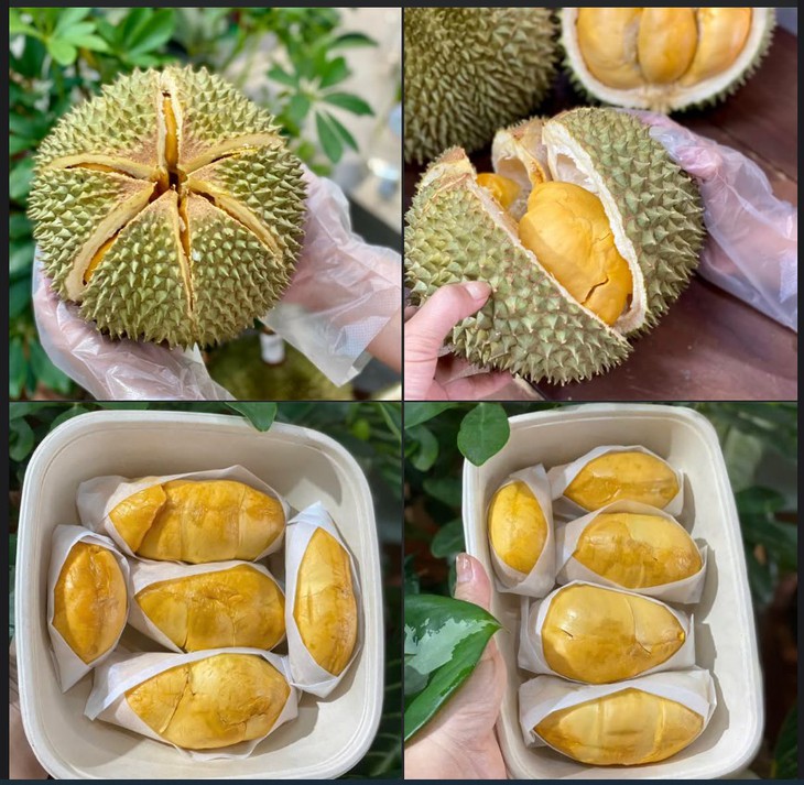 Sầu Black Thorn và Musang King có gì đặc biệt mà cả hai đều có giá 'siêu' đắt trên thị trường?- Ảnh 5.