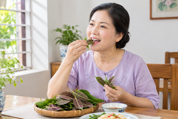 Ăn sống lá mơ lông: Những điều cần biết trước khi sử dụng - Ảnh 1.