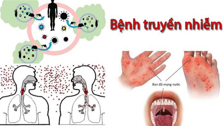 Cắt đứt nguồn lây bệnh truyền nhiễm: Từ chính sách đến thực tế đời sống- Ảnh 1.