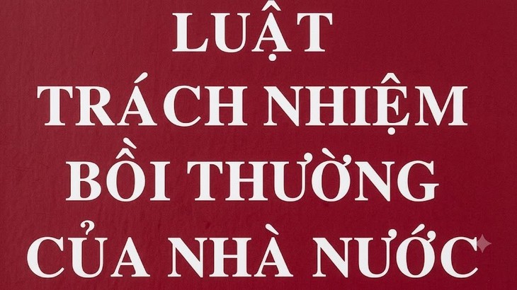 Thủ tướng yêu cầu triển khai đồng bộ Luật Trách nhiệm bồi thường của Nhà nước- Ảnh 1.