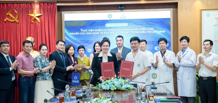 Hợp tác nghiên cứu ứng dụng tế bào gốc trung mô trong điều trị- Ảnh 1.
