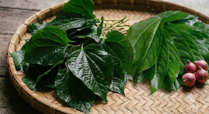 Lá lốt và lá xương sông: Loại nào tốt cho sức khỏe hơn? - Ảnh 1.