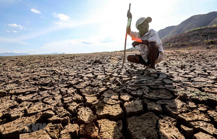 - Ảnh 2.