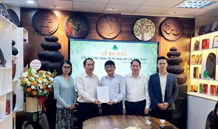Ra mắt Chi hội Chè Shan tuyết vùng núi cao Việt Nam - Ảnh 1.