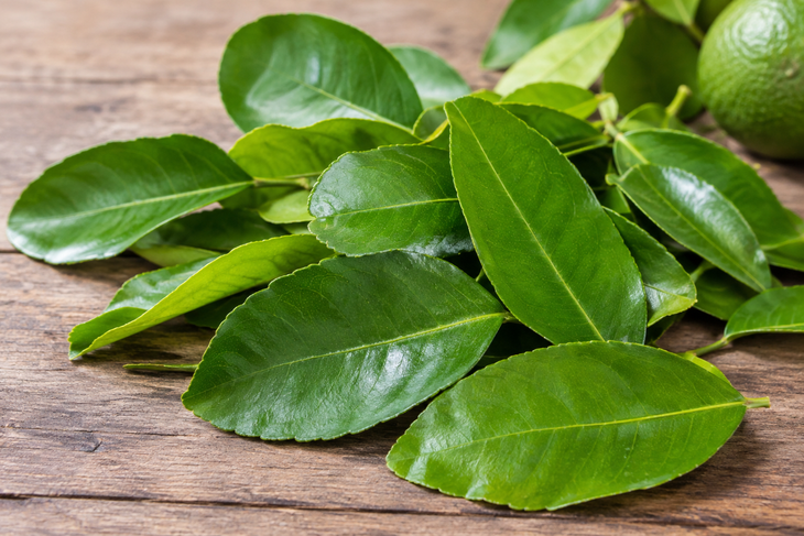 Lá chanh có tác dụng gì? - Ảnh 1.