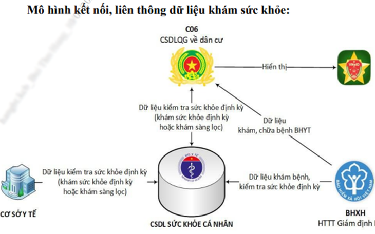 Hà Tĩnh triển khai chiến dịch 90 ngày khám sức khỏe miễn phí- Ảnh 4.