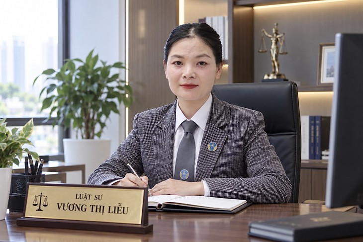 Cho phụ nữ mang thai dùng ma túy có thể đối mặt mức án nào?- Ảnh 2.