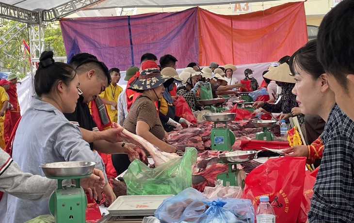 Lễ hội chọi trâu Đồ Sơn 2026: Càng đấu càng cuốn, càng xem càng mê- Ảnh 6.