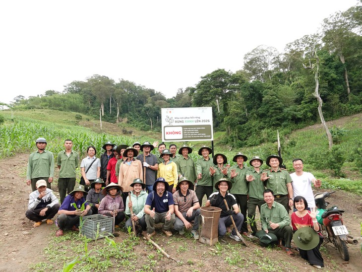 Trồng 7000 cây phi lao bảo vệ hệ sinh thái ven biển- Ảnh 1.