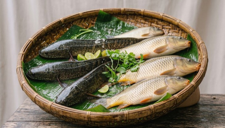 6 mẹo chọn cá tươi ngon và an toàn - Ảnh 2.