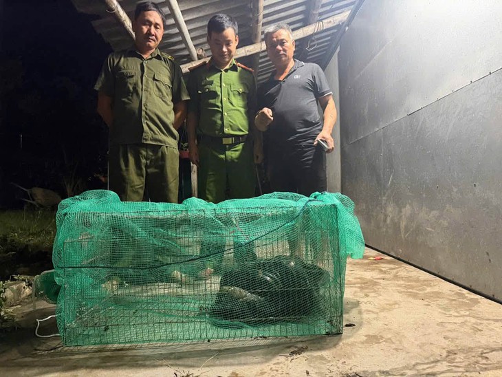 Trăn đất dài 4,5m bò vào nhà dân- Ảnh 1.