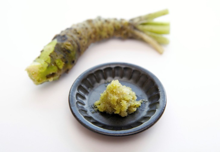 Nhật Bản thử nghiệm hợp chất giúp răng tự tái tạo từ wasabi trên người - Ảnh 1.