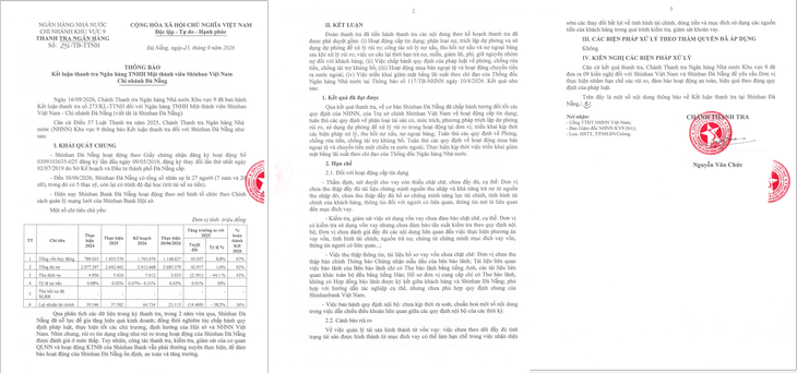 Thanh tra cảnh báo rủi ro tại Shinhan Đà Nẵng- Ảnh 2.