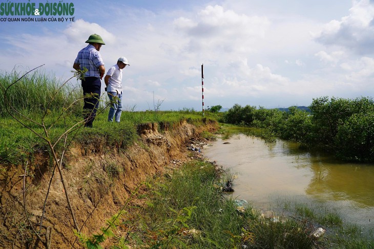 Người dân bất an vì tình trạng sạt lở bờ sông khi mùa mưa lũ đến- Ảnh 3.