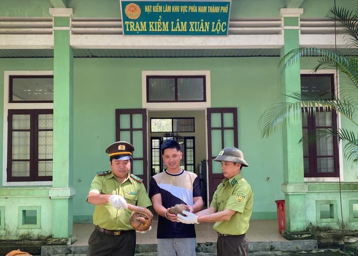 Người dân Huế giao nộp cùng lúc 2 cá thể động vật quý hiếm- Ảnh 1.