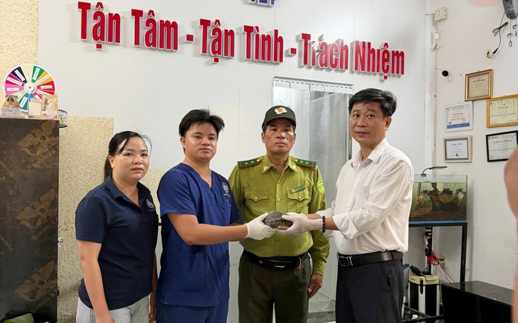 Phát hiện chim quý hiếm trong vườn, người dân làm ngay việc này- Ảnh 2.