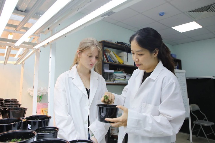 Hai chỉ số đổi mới sáng tạo của Việt Nam đứng đầu thế giới- Ảnh 2.